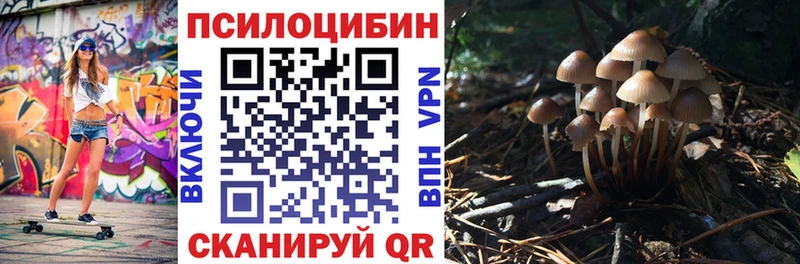 мориарти официальный сайт Ногинск Галлюциногенные грибы MAGIC MUSHROOMS