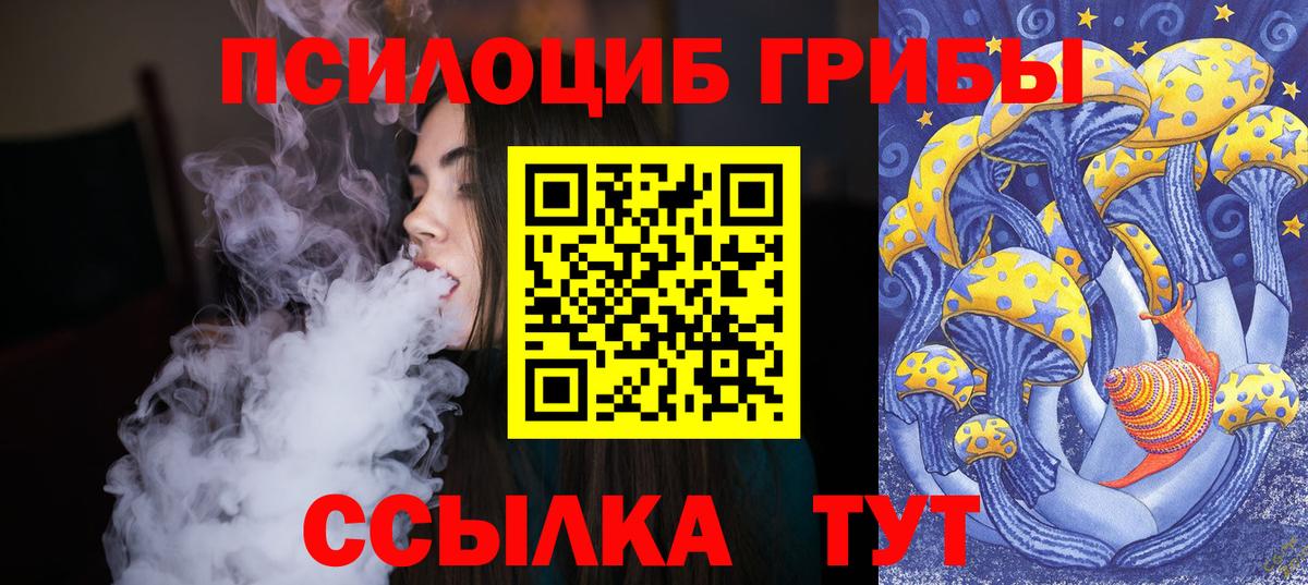 Галлюциногенные грибы Cubensis Ногинск