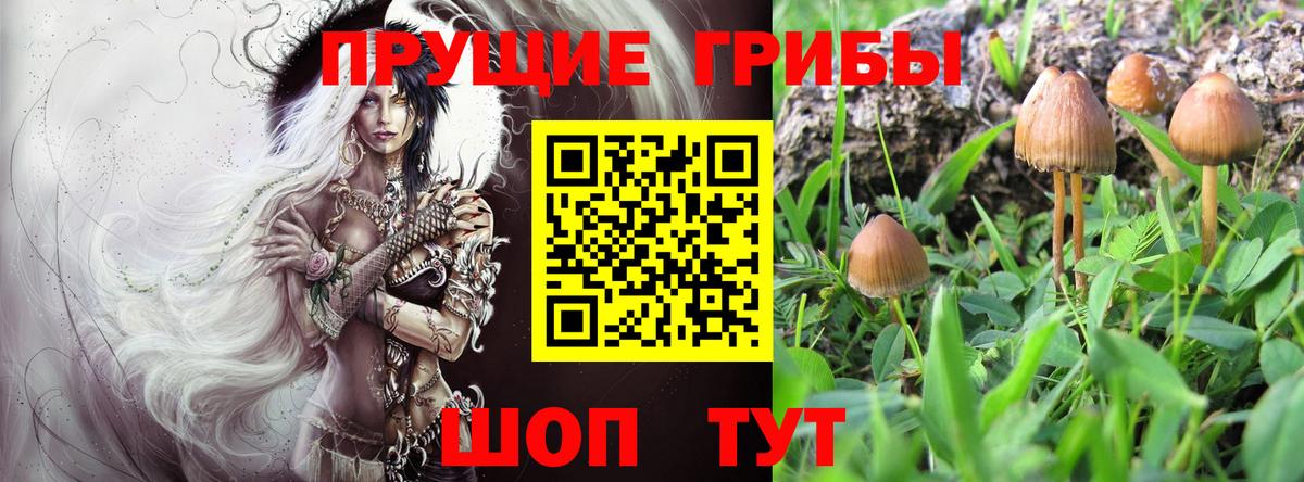 Псилоцибиновые грибы MAGIC MUSHROOMS  Вход с VPN  Ногинск  Псилоцибиновые грибы мицелий 